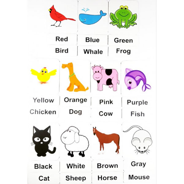 Okuling Colors and Animals – Renkler ve Hayvanlar Magnet