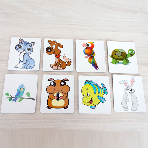 Okuling Pets – Evcil Hayvanlar Magnet